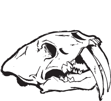 Outlier Aesthetics